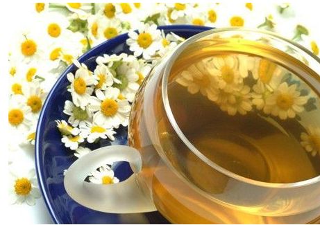 菊花龍井茶